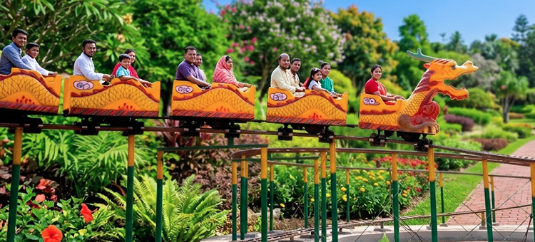 Family Roller Coaster